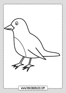 Dibujos de Pájaros para colorear | Imprimir y Colorear