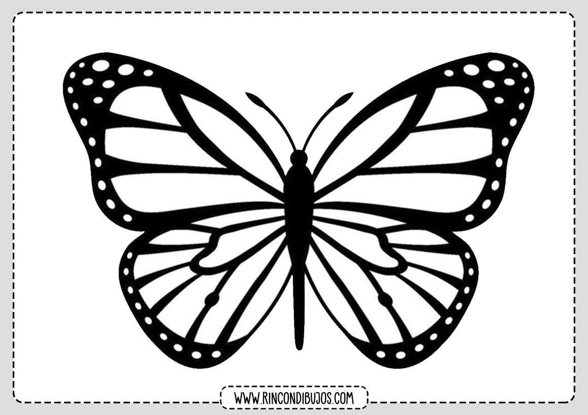 dibujos-de-mariposas-para-colorear-rincon-dibujos