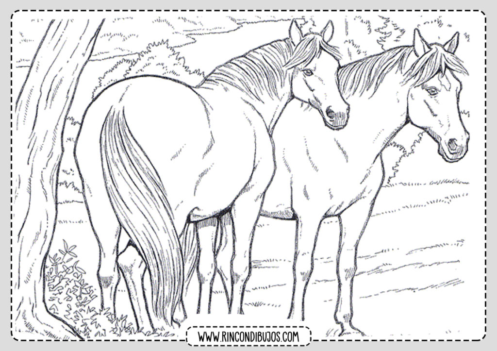 Dibujos de caballos Colorear pintar - Rincon Dibujos