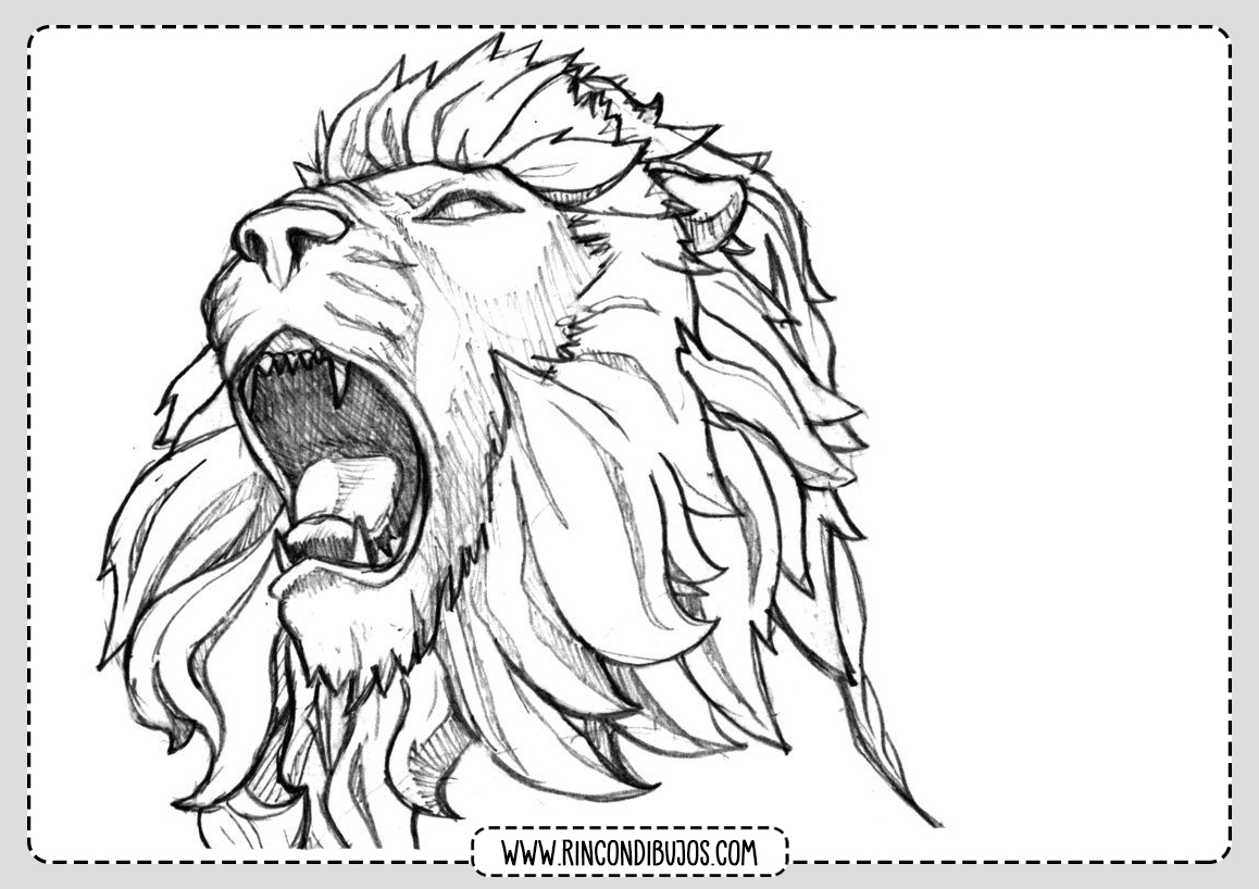 Top 93+ imagen dibujos de leones salvajes